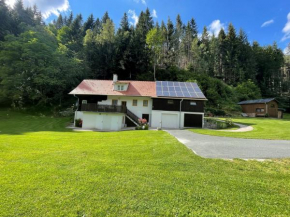 Ferienhaus Holzer Mönichwald